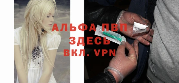 амф Алзамай