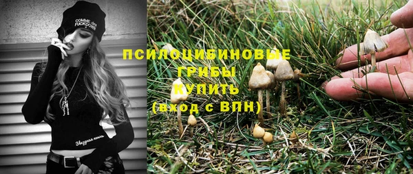 амф Алзамай