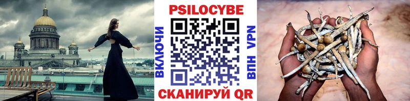 Псилоцибиновые грибы Psilocybine cubensis  даркнет сайт  Балабаново 