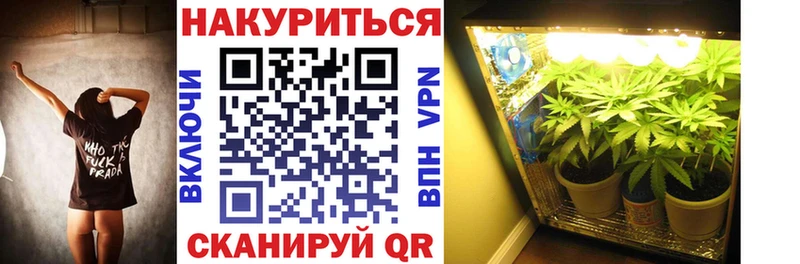 даркнет сайт  Балабаново  Конопля сатива 